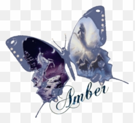 Amber Free Animations Animated Gifs - Swallowtail Butterfly Emoji,Forum Emoticon Gif Pusing
