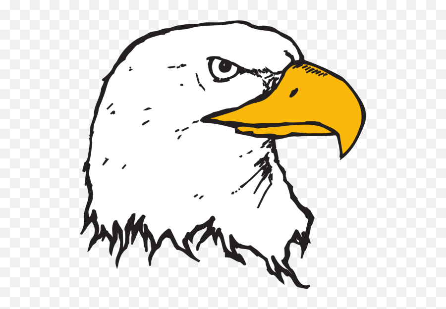 Bald Eagle Head Png Svg Clip Art For Web - Download Clip Draw A Eagle Head Emoji,Bald Eagle Emoji