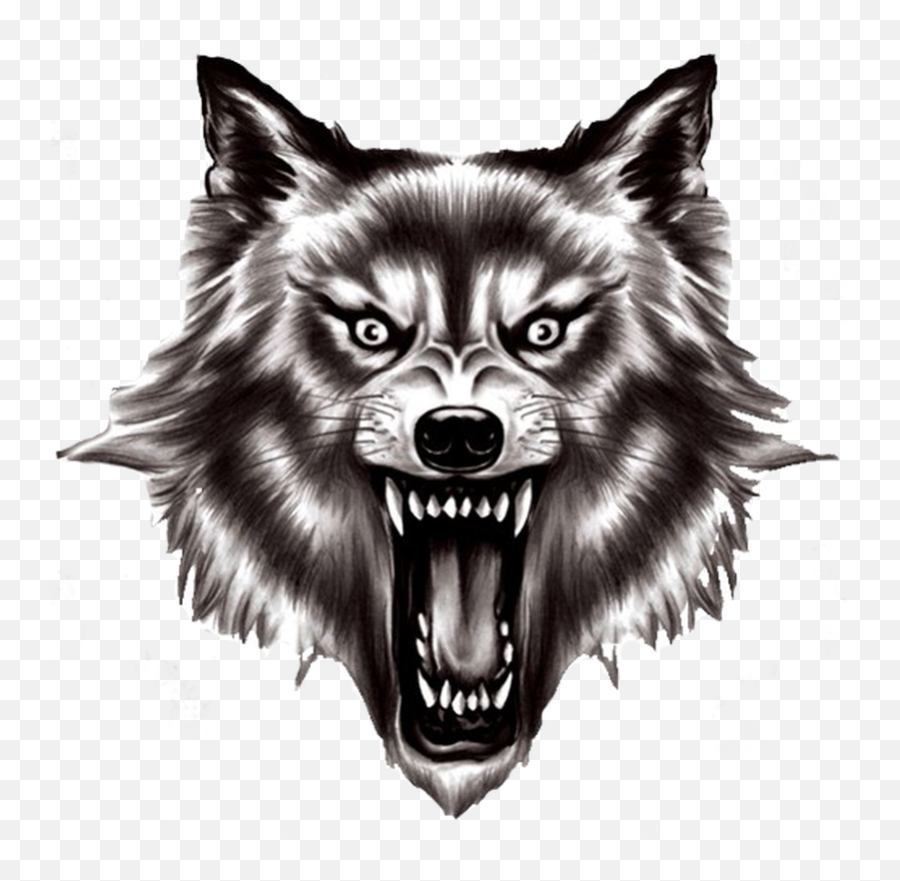 Real Wolf Png - Wolf Head Transparent Background Transparent Emoji,Wolf Howl Emoji