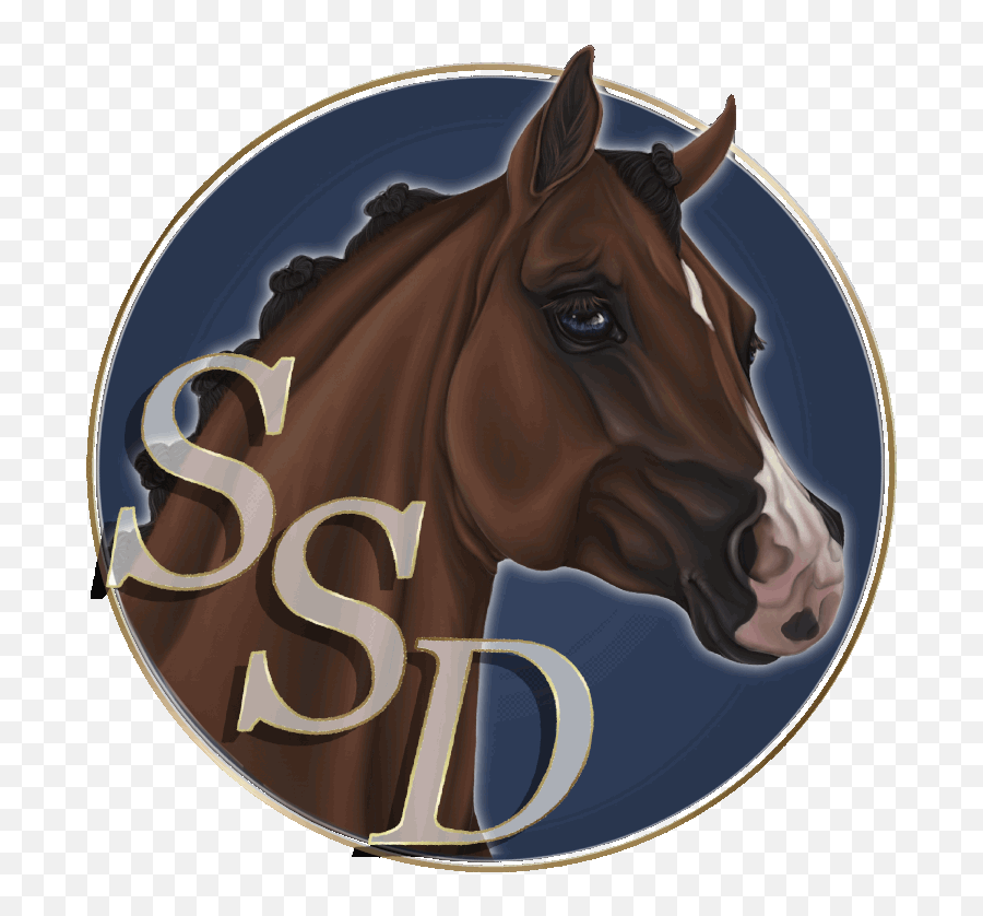 Dictionary - Star Stable Dressage Emoji,Horse Emotions Printable Encyclopedia