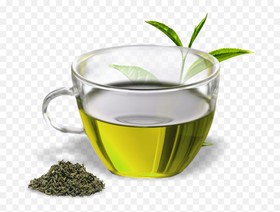 Assam Tea - Green Tea Png Hd Emoji,Green Tea Emoji