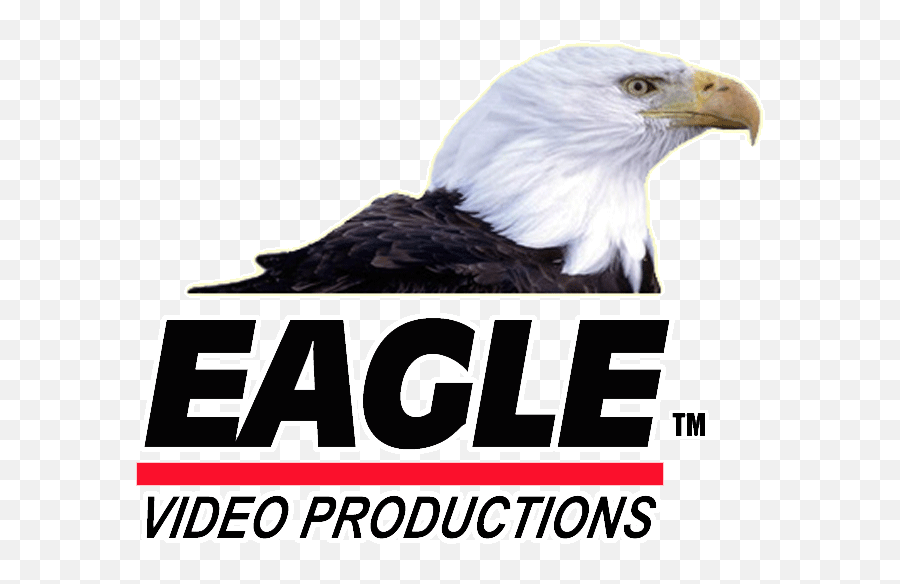 Best Glossary Of Video U0026 Film Terms Eagle Video Emoji,Inside Out Emotions Descirbed Video