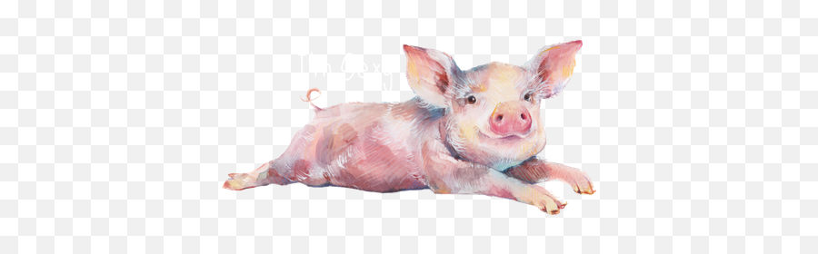 450 Oink Obsession Ideas In 2021 Cute Pigs Cute Piggies Pig Emoji,Emoji Funny Dog Belly Water