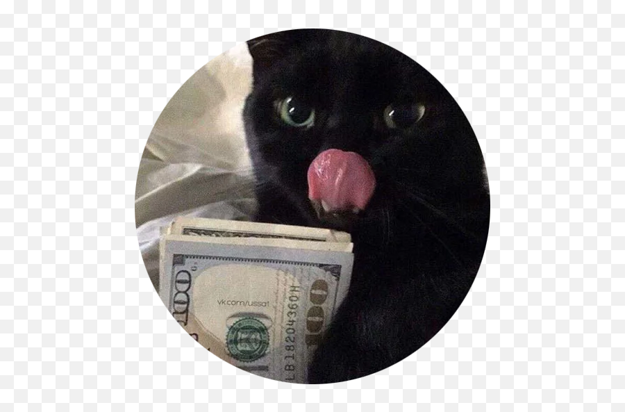 Telegram Sticker From Halp Pack Emoji,Tongue Cash Emoji