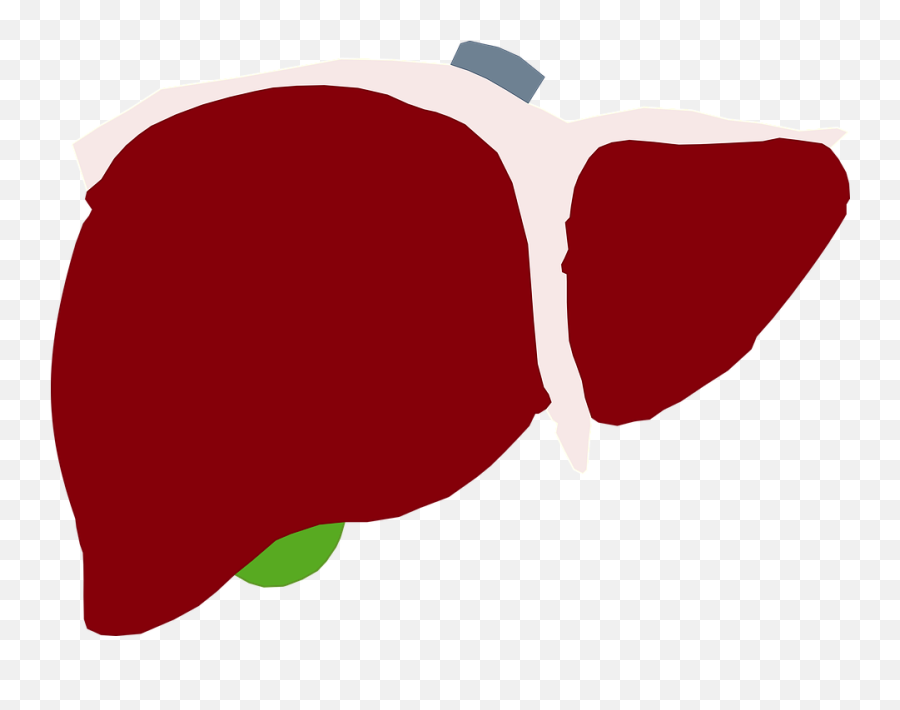 Human Liver Liver Red Liver Heart Red - Charing Cross Tube Station Emoji,Liver Emoji