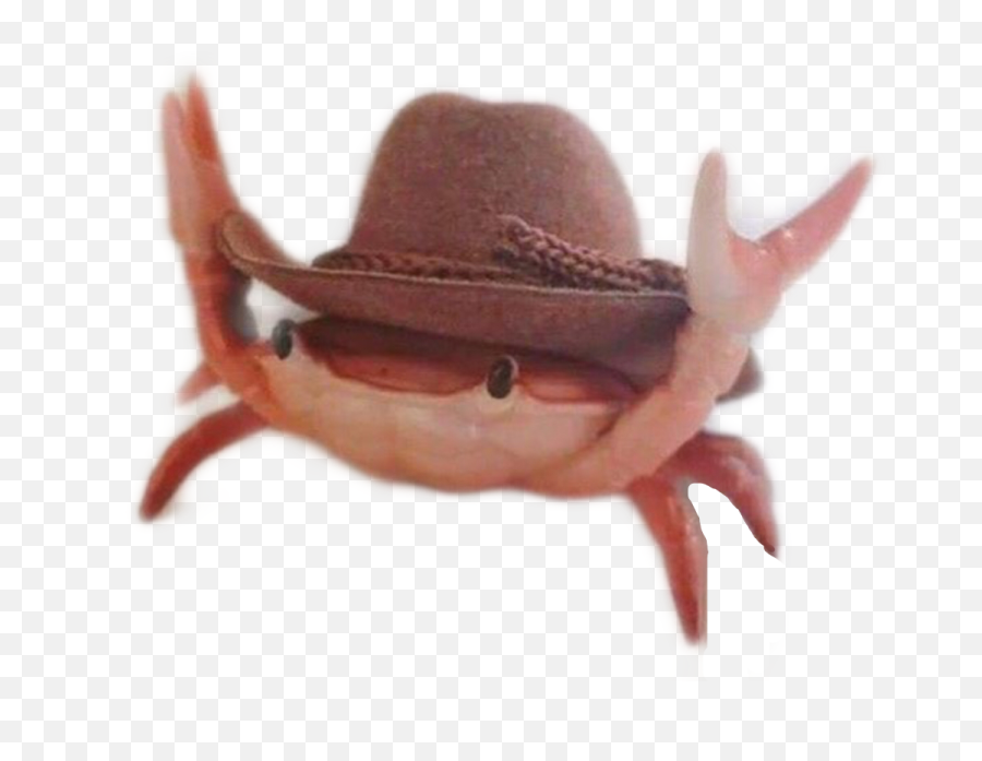 Crab California Summer Meme Memes Emoji,Crab Emoji Meme