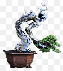 Bonsai Sticker - Bonsai Emoji,Bonsai Emoji