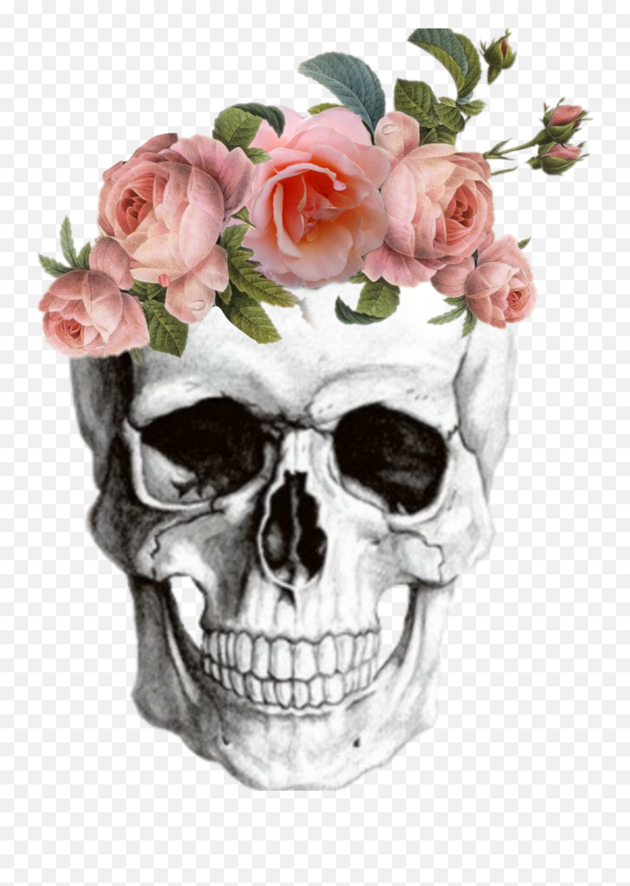 Anatomy Skull Skullsticker Sticker - Stickers Skull Emoji,Flower Vs Footprints Skull Emoji