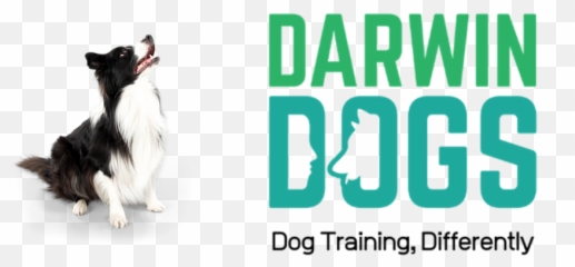 Working With An Aggressive Or Anxious Dog - Language Emoji,Bbc Dogs Emotions
