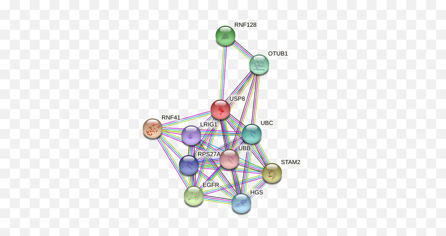 Usp8 Protein Human - String Interaction Network Dot Emoji,T Cell Activtion Emotion