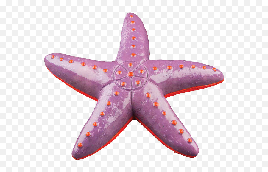 Starfish Emoji,Starfish Emoticon For Facebook