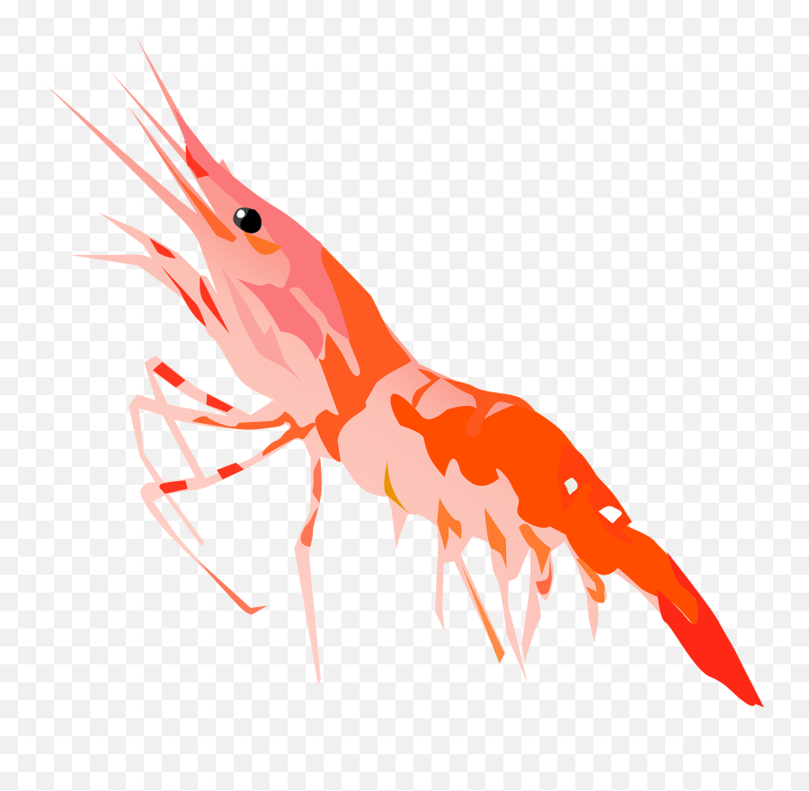 Shrimp Clipart Emoji,Emoji Tiger And Shrimp