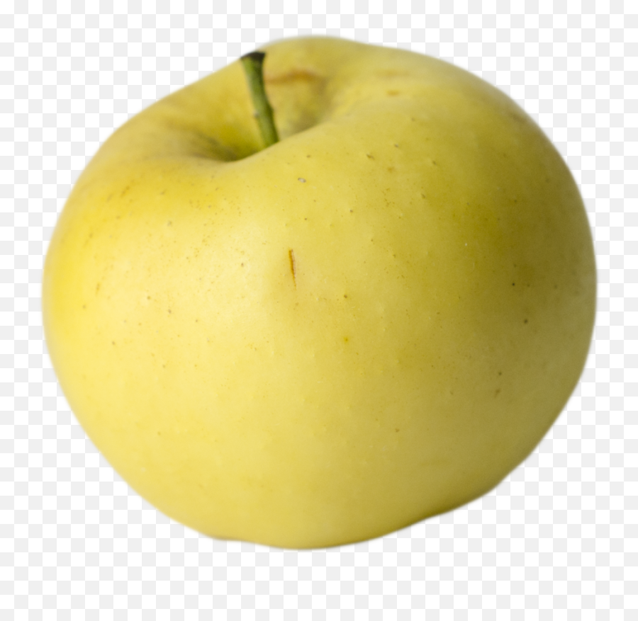 Our Lovely Apples U2014 Champlain Orchards Emoji,Emoji Apple Pomme
