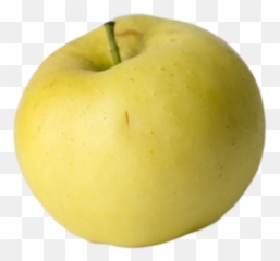 Our Lovely Apples U2014 Champlain Orchards Emoji,Emoji Apple Pomme