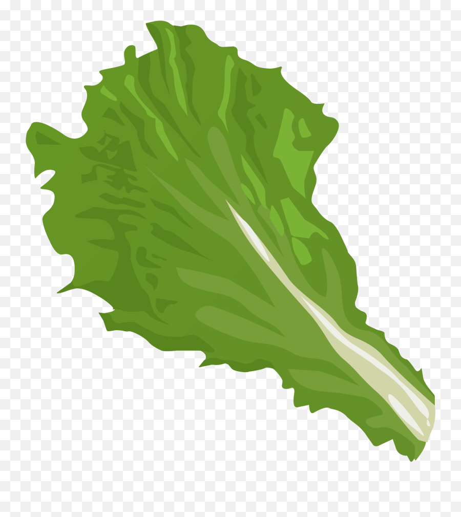 Lettuce Clipart Green Foods Lettuce - Clipart Lettuce Png Emoji,Lettuce Emoji