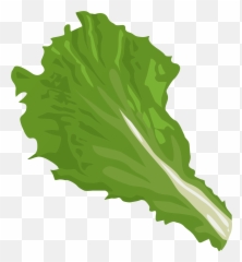 Lettuce Clipart Green Foods Lettuce - Clipart Lettuce Png Emoji,Lettuce Emoji