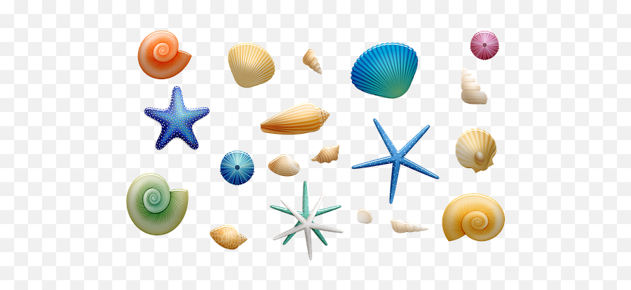 100 Free Spa U0026 Massage Illustrations - Pixabay Beach Sea Shells Png Emoji,Clam Shell Emoji