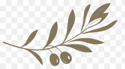 Welcome To Kay Spears - Functional Medicine Specialists Emoji,Emotion Ceramics Pecan Beige Specs