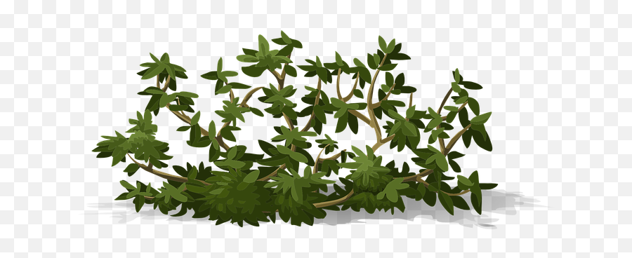 90 Free Greenery U0026 Foliage Vectors - Pixabay Bushes Svg Emoji,Shrub Emoji