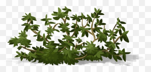 90 Free Greenery U0026 Foliage Vectors - Pixabay Bushes Svg Emoji,Shrub Emoji