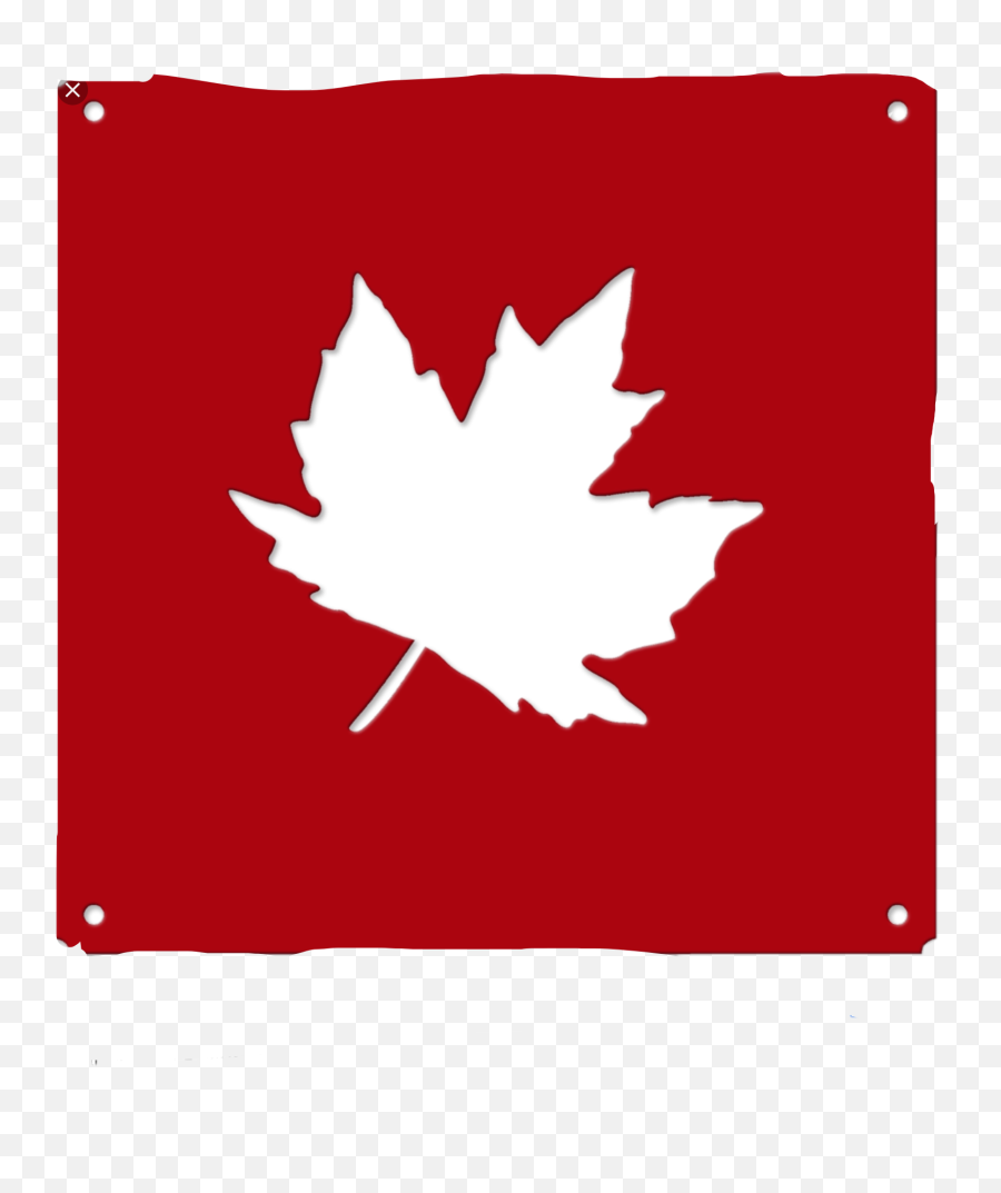 Sticker Cool Contest Canadian Eh - Language Emoji,Canadian Leaf Emoji