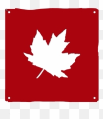 Sticker Cool Contest Canadian Eh - Language Emoji,Canadian Leaf Emoji