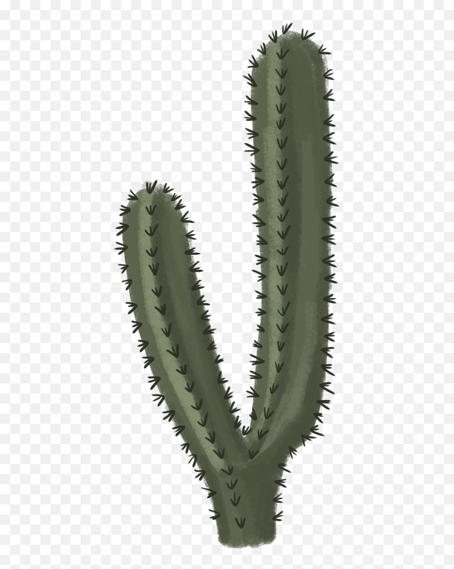 Cactus Transparent Png Cactus Free - Transparent Background Cactus Png Emoji,Cactus Emoji