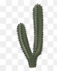 Cactus Transparent Png Cactus Free - Transparent Background Cactus Png Emoji,Cactus Emoji