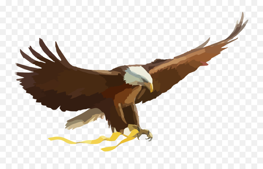 Drawing Bald Eagle Free Image - Eagle Cartoon Png Emoji,The Emotions Of Eagles