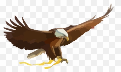 Drawing Bald Eagle Free Image - Eagle Cartoon Png Emoji,The Emotions Of Eagles