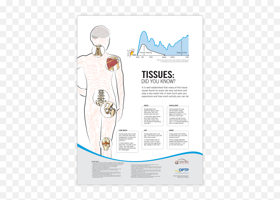 Neuroscience Of Pain Poster Set - Language Emoji,Emotions And Our Organs Posters