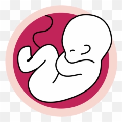 How To Talk To Your Doctor About Fertility Getting Pregnant Emoji,Apple Emotions Clipart Scared