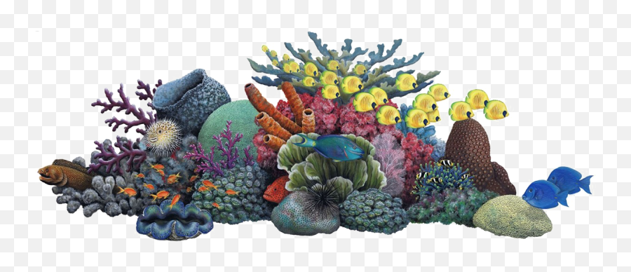 Coral Sea Reef Colors Fish Sticker By David Belmonte Emoji,Coral Emoji