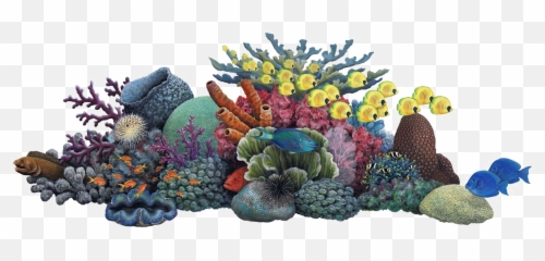 Coral Sea Reef Colors Fish Sticker By David Belmonte Emoji,Coral Emoji