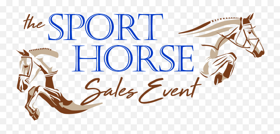 Sport Horse Png U0026 Free Sport Horsepng Transparent Images - Aqha Emoji,Horse Emoticon On Facebook
