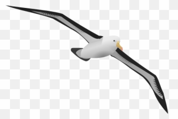 Clipart - Bird Beach Clipart Png Emoji,Little Clay Emotion Birds