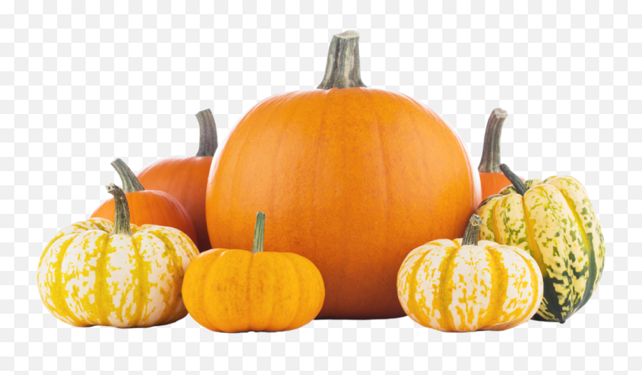 Pumpkin Image No Background Best Premium Svg Silhouette - Pumpkin And Squash Gourds Emoji,Pumpkin Carving Designs Emojis