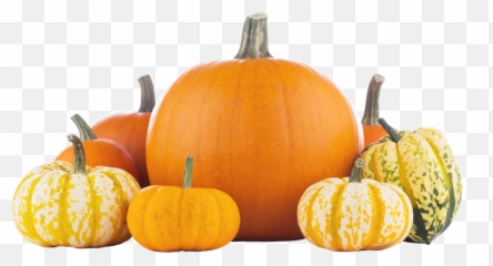 Pumpkin Image No Background Best Premium Svg Silhouette - Pumpkin And Squash Gourds Emoji,Pumpkin Carving Designs Emojis
