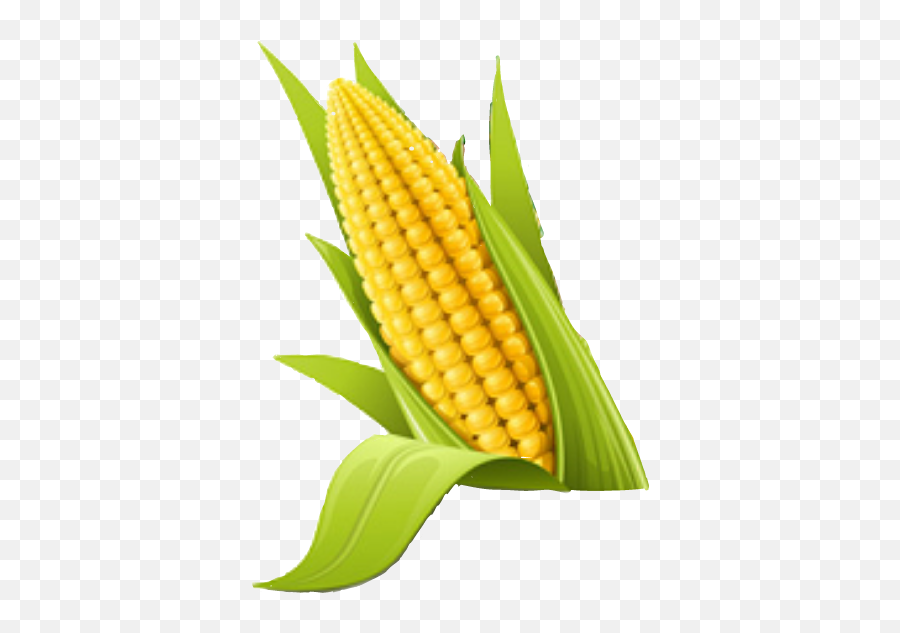 Sticker Corn Sticker - Different Picture Of Vegetable Emoji,Corn Emoji