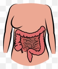 Know Gut Health Is Mental Health Emoji,Hippocrates On Emotions