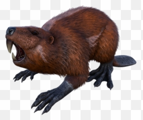 Megalodon Dododex Ark Survival Evolved - Castoroides Ark Emoji,Ark Survival Evolved Chat Emoticons
