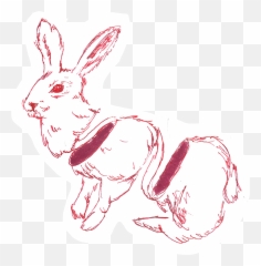 Pink Daydream With Ariya Sonethavy - Domestic Rabbit Emoji,Rabbit Emotion Art