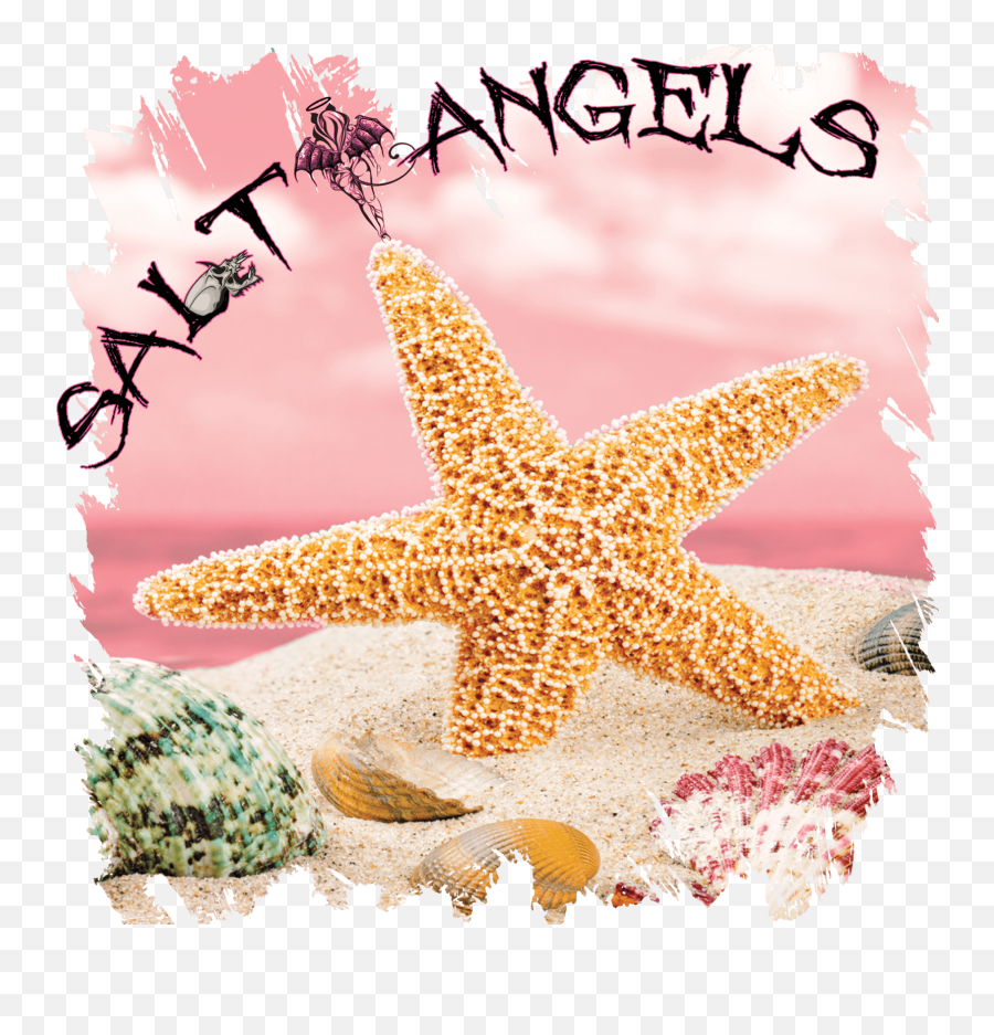 Salt Angels Emoji,Starfish Emoticon For Facebook