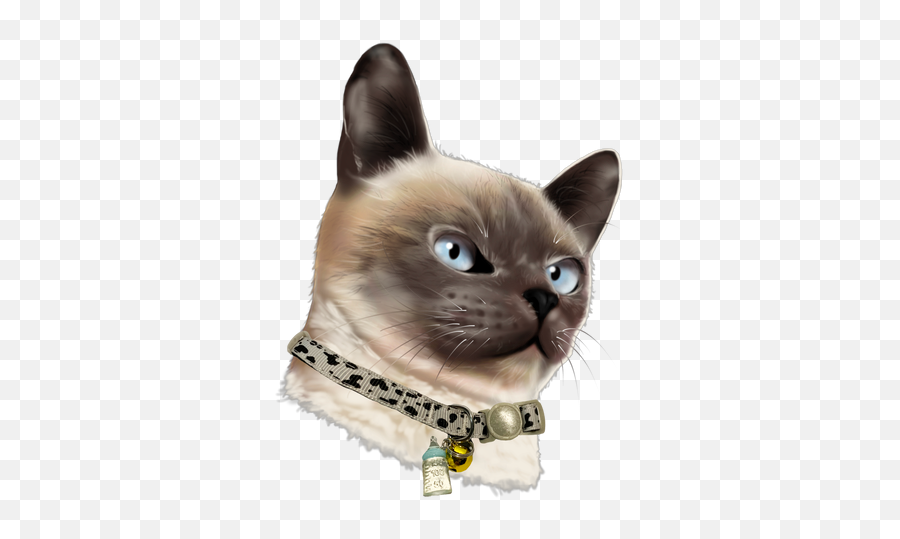 Collars U2013 Meow Merchants Singapore Emoji,Mushroom Cat Emoticon