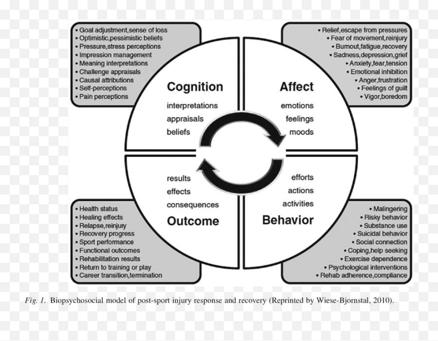 The Brain Always Wins On Twitter Psychological Factors Are - Dot Emoji,Emotions And The Brain Psychology