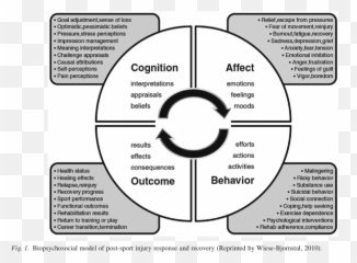 The Brain Always Wins On Twitter Psychological Factors Are - Dot Emoji,Emotions And The Brain Psychology