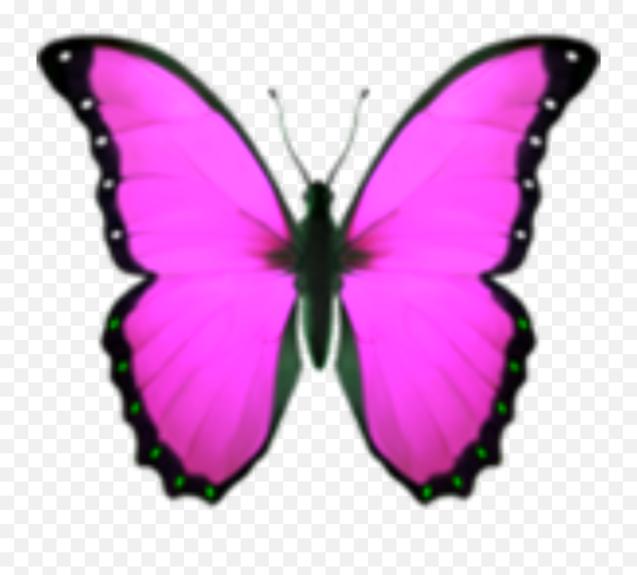 Sticker Emoji,Pink Butterfly Emoji