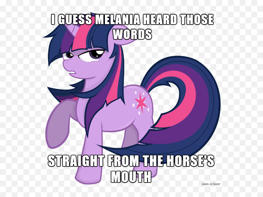 Godoffury Derpibooru Import - Twilight Sparkle Cnn Breaking News Emoji,Melania Trump No Emotion