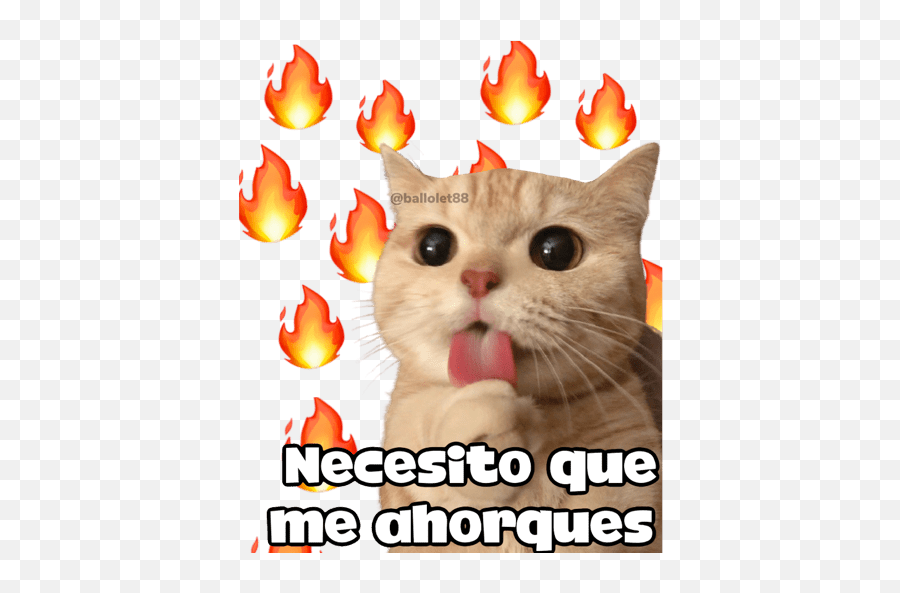 95 Ideas De Mis Chistes En 2021 Chistes Frases Divertidas - Michi Memes De Amor Emoji,Emoticon Palma Whatsapp Sol