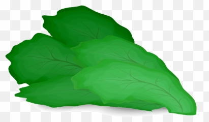 Romaine Lettuce Clipart - Lettuce Svg Emoji,Lettuce Emoji